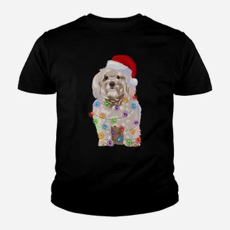 Havanese Christmas Lights Xmas Dog Lover Santa Hat Youth T-shirt | Crazezy CA