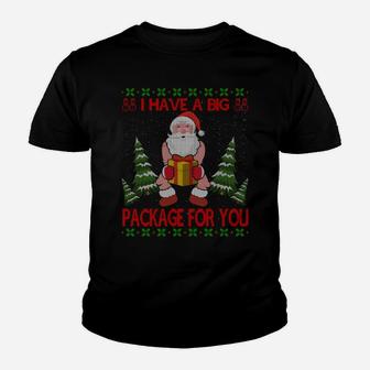 I Have Big Package For You Santa Claus & Huge Box Christmas Sweatshirt Youth T-shirt | Crazezy