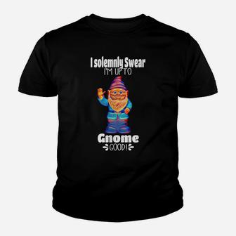 I Solemnly Swear I'm Up To Gnome Good Funny Gnome Youth T-shirt | Crazezy