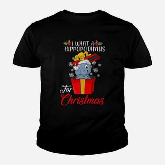 I Want A Hippopotamus For Christmas Hippopotamus Gift Xmas Youth T-shirt | Crazezy
