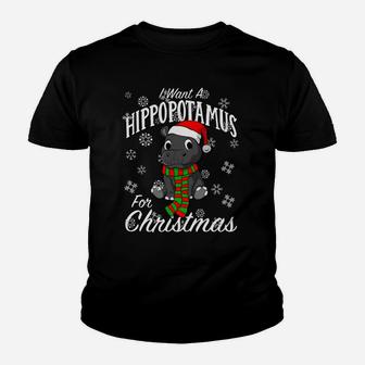 I Want A Hippopotamus For Christmas Sweatshirt | Xmas Hippo Youth T-shirt | Crazezy CA