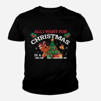I Want A Sloth For Christmas Youth T-shirt | Crazezy