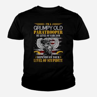 I'm A Grumpy Old Paratrooper Flag Tshirt, Veterans Day Gift Sweatshirt Youth T-shirt | Crazezy