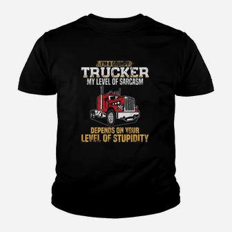 Im A Grumpy Trucker Funny Truck Driver Gifts Trucking Dads Youth T-shirt | Crazezy DE