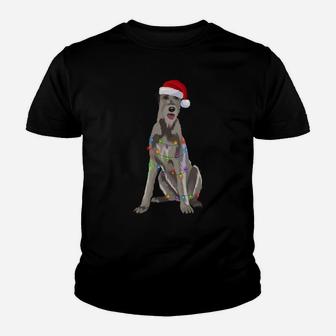 Irish Wolfhound Christmas Lights Xmas Dog Lover Youth T-shirt | Crazezy