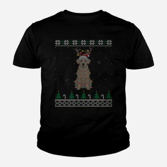 Labrador Reindeer Santa Hat Christmas Tree Xmas Light Gift Youth T-shirt | Crazezy UK