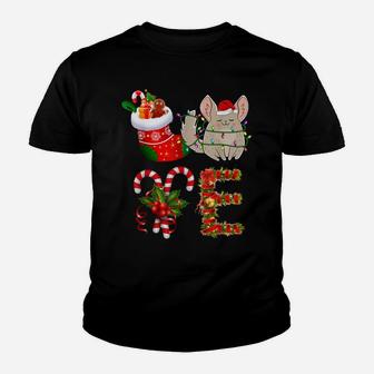 Love Chinchilla Christmas Lights Funny Santa Hat Christmas Youth T-shirt | Crazezy CA