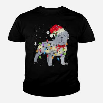 Neapolitan Mastiff Dog Christmas Light Xmas Mom Dad Gifts Youth T-shirt | Crazezy