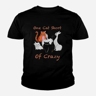 One Cat Short Of Crazy Youth T-shirt | Crazezy