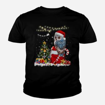 Owl Christmas Xmas Light Tree Ornaments Santa Lover Gift Sweatshirt Youth T-shirt | Crazezy