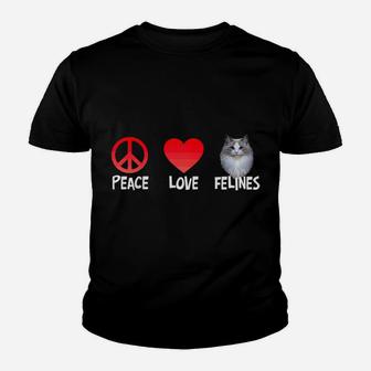 Peace Love Felines Adorable Kitty Cat Lovers Kitten Novelty Raglan Baseball Tee Youth T-shirt | Crazezy