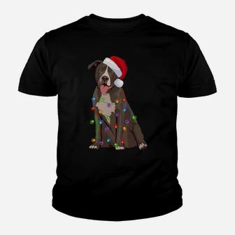 Pittie Pitbull Christmas Lights Xmas Dog Lover Sweatshirt Youth T-shirt | Crazezy UK