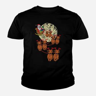Reindeer Dachshund Santa Christmas Pet Weiner Dog Xmas Gift Sweatshirt Youth T-shirt | Crazezy AU