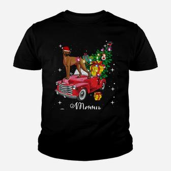 Rhodesian Ridgeback Ride Red Truck Christmas Funny Dog Sweatshirt Youth T-shirt | Crazezy