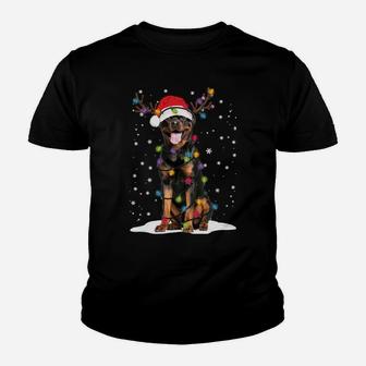 Rottweiler Christmas Tree Light Pajama Dog Lover Xmas Gift Sweatshirt Youth T-shirt | Crazezy