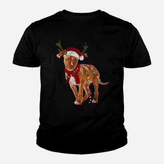 Santa Pitbull Reindeer Light Christmas Gifts Youth T-shirt | Crazezy CA