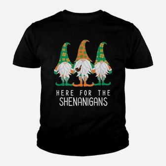 St Patrick Gnome Irish Day Shenanigan Leprechaun Shamrock Youth T-shirt | Crazezy CA