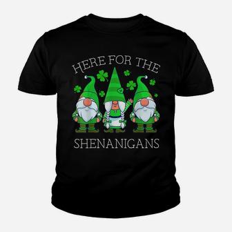 St Patricks Day Gnome Shamrock Here For The Shenanigans Gift Youth T-shirt | Crazezy