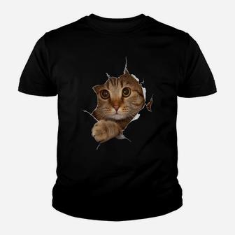 Sweet Kitten Torn Cloth - Funny Cat Lover Cat Owner Cat Lady Raglan Baseball Tee Youth T-shirt | Crazezy DE