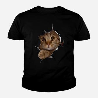 Sweet Kitten Torn Cloth - Funny Cat Lover Cat Owner Cat Lady Sweatshirt Youth T-shirt | Crazezy DE