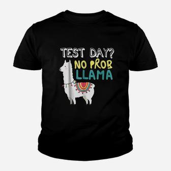 Test Day Llama Teacher Exam Testing Youth T-shirt | Crazezy CA