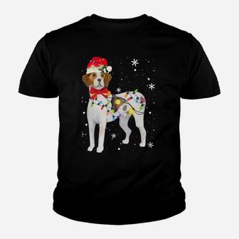 Treeing Walker Coonhound Dog Christmas Xmas Mom Dad Gifts Sweatshirt Youth T-shirt | Crazezy