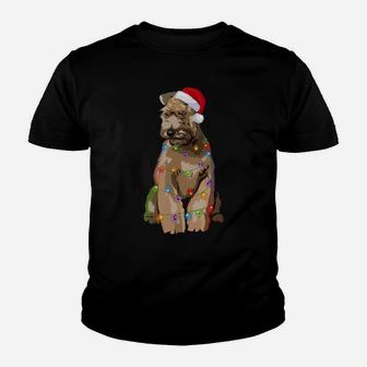 Wheaten Terrier Christmas Lights Xmas Dog Lover Sweatshirt Youth T-shirt | Crazezy