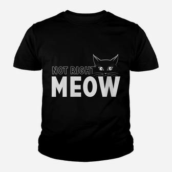 Womens Funny Not Right Meow Top For Cat Lovers Youth T-shirt | Crazezy