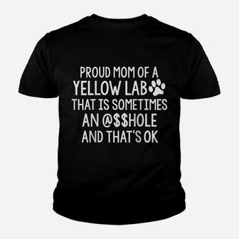 Womens Proud Mom Of Yellow Lab Sometimes $$Hole Funny Dog Sarcasm Raglan Baseball Tee Youth T-shirt | Crazezy UK
