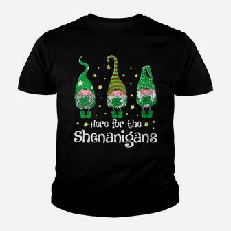 Womens St Patricks Day Here For The Shenanigans Gnome Shamrock Gift Youth T-shirt | Crazezy
