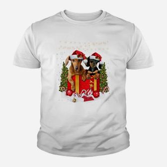Cute Dachshund In Gift Box Lights Christmas Xmas Doxie Dog Sweatshirt Youth T-shirt | Crazezy