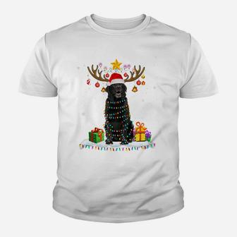 Funny Black Lab Dog Christmas Tee Reindeer Christmas Lights Youth T-shirt | Crazezy CA