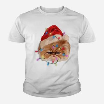 Funny Xmas Persian Cat Christmas Lights Adorable Face Fluffy Youth T-shirt | Crazezy