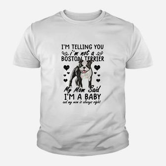 I Am Not A Boston Terrier Youth T-shirt | Crazezy