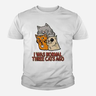 I Was Normal Three Cats Ago - Funny Cat Lover Youth T-shirt | Crazezy CA