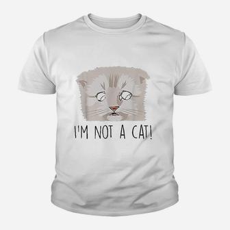 Im Not A Cat I Am Not A Cat Funny Zoom Call Cat Youth T-shirt | Crazezy AU