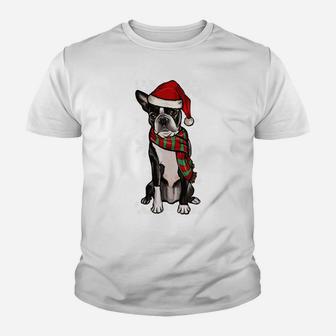 Merry Christmas Ornament Boston Terrier Xmas Santa Sweatshirt Youth T-shirt | Crazezy CA