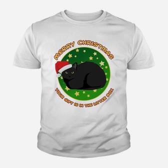 Merry Christmas Your Gift Is In The Litter Box Cat Xmas Sweatshirt Youth T-shirt | Crazezy