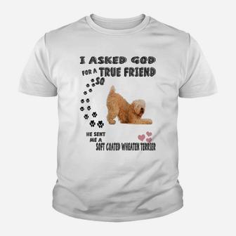 Soft Coated Wheaten Terrier Mom Dad Costume Cute Wheatie Dog Raglan Baseball Tee Youth T-shirt | Crazezy