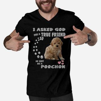 Bichon Poodle Dog Mom, Bichon Poo Dad Costume, Cute Poochon Men V-Neck Tshirt | Crazezy UK