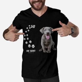 Fun Labrador Retriever Dog Mom Dad Costume, Cute Silver Lab Men V-Neck Tshirt | Crazezy