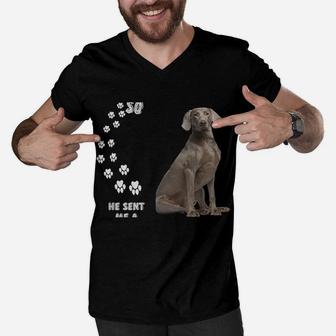 Grey Hunting Dog Quote Mom Weim Dad Costume, Cute Weimaraner Men V-Neck Tshirt | Crazezy UK