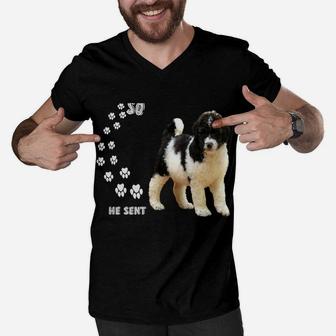 St Berpoo Dog Mom Dad Quote Costume, Cute Saint Berdoodle Men V-Neck Tshirt | Crazezy DE