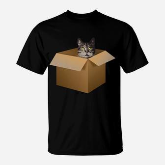 A Cat In A Box Hilarious Cat Lovers Tshirt Kitty Cat Moms Sweatshirt T-Shirt | Crazezy CA