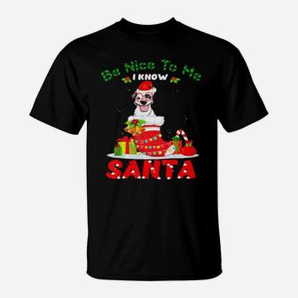 Be Nice To Me I Know Santa Staffordshire Bull Terrier Dog T-Shirt - Monsterry DE