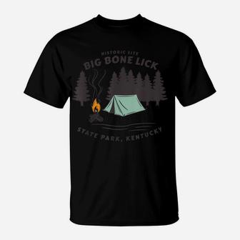 Big Bone Lick State Park Gift T-Shirt | Crazezy CA
