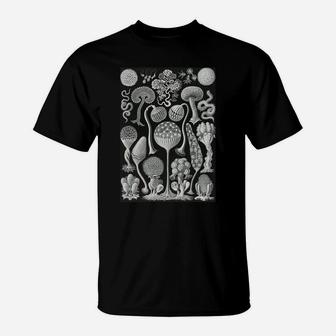 Biology Mycetozoa Slime Molds Scientific Haeckel Sweatshirt T-Shirt | Crazezy