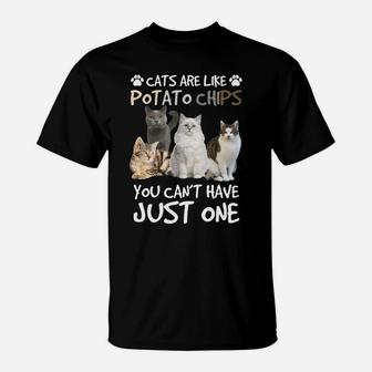 Cats Are Like Potato Chips You Can Not Have Just One Funny Sweatshirt T-Shirt | Crazezy