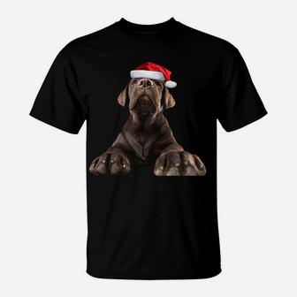 Chocolate Lab Puppy Dog Santa Hat Image Funny Christmas Gift Sweatshirt T-Shirt | Crazezy