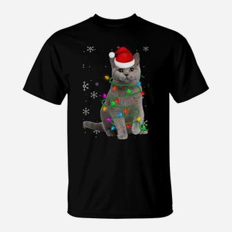 Cute British Shorthair Christmas Hat Santa Xmas Sweatshirt T-Shirt | Crazezy CA